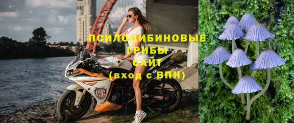 прущая мука Богородицк