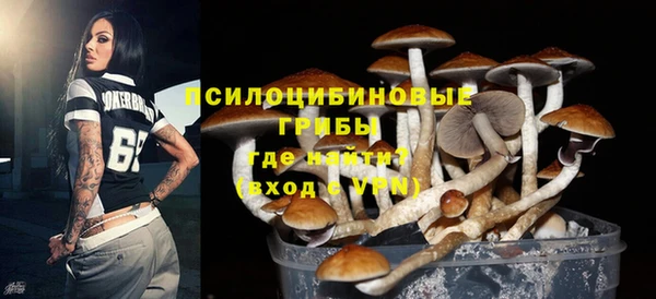 прущая мука Богородицк